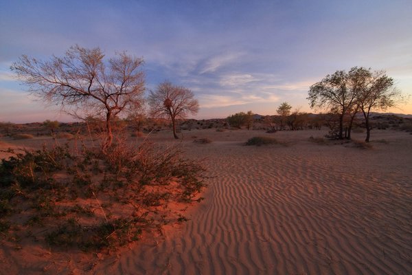 The 'Mongol Els' sand dunes