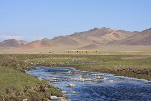 Central Mongolia landscape