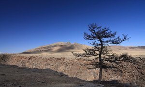 Central Mongolian Landscape