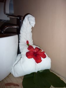 The all inclusive resort towel