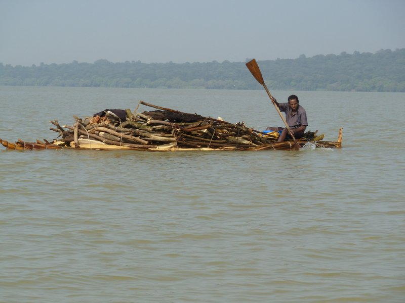 Reed boat transporting fire wood