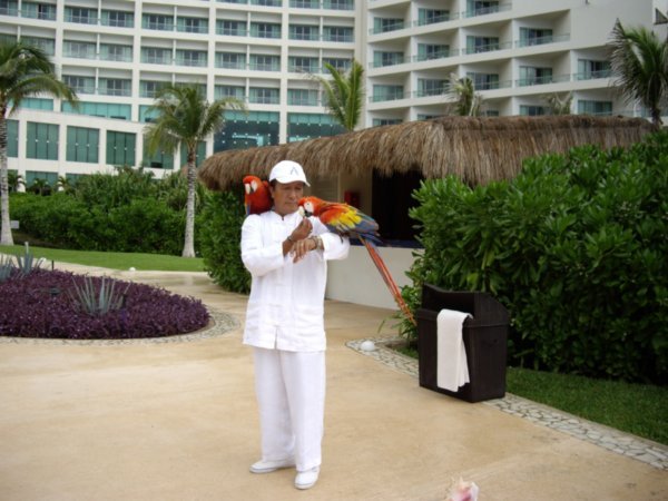 Tai Chi man and the hotel parrots