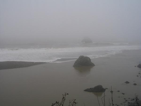 Foggy Coastline