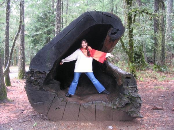 Blogger in a Log