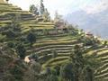 Dans l'Annapurna...3