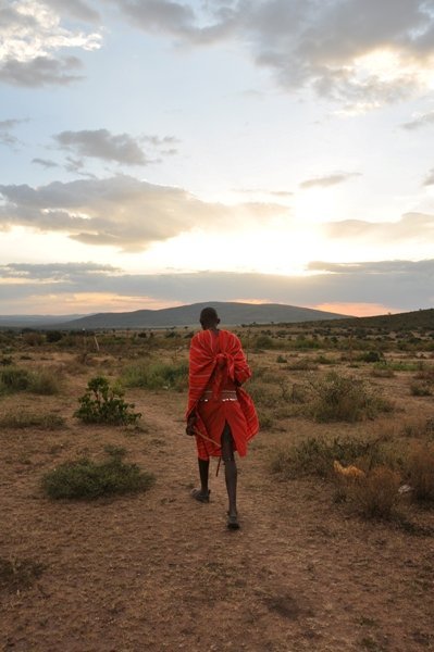 Masai Tribesman