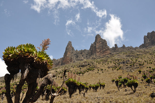 Rock Formations on the Appraoch to Mount Kenya