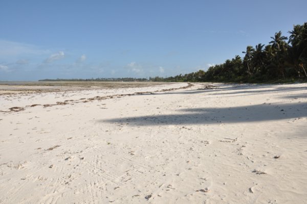 The Beach - Pongwe