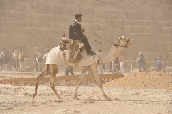 (Camel) Mounted Police - Giza
