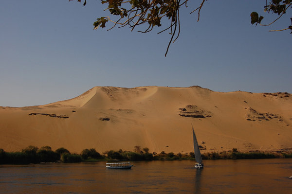 Feluccas on the Nile - Aswan