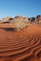 Sand Dune - Wadi Rum