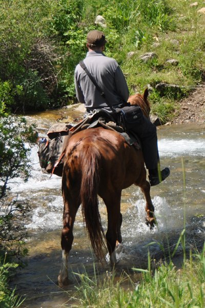 Horse Riding - Aksu Jabagly National Park