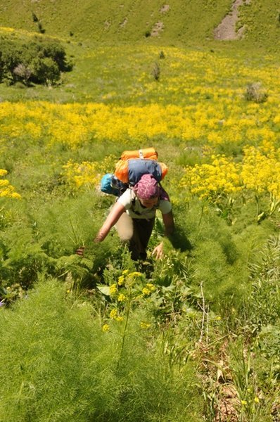 Sarah Scrambling Through Flowers - Karatau Mountains
