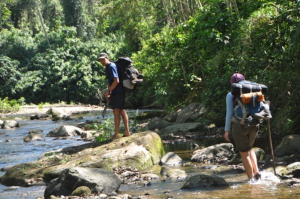 Walking Down the River- Amboro National Park