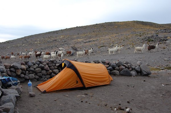 Camping in a Llama Pen - Lake Mocurca