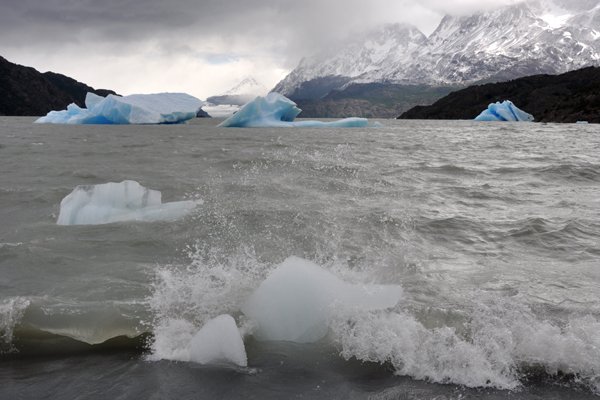 Icebergs on Largo Grey - Torres del Paine National Park