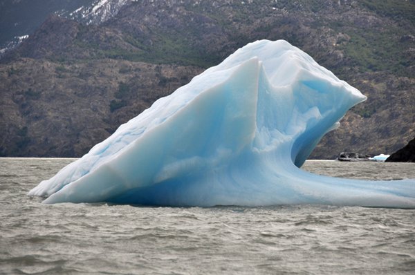 Iceberg on Largo Grey - Torres del Paine National Park