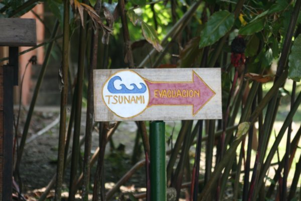 In case of Tsunami...