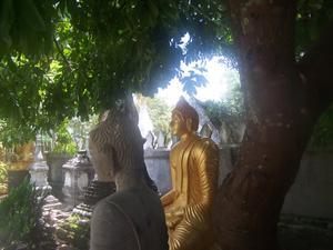 Garden of Buddhas