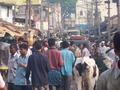 Just another busy morning in mysore...