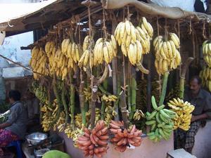Kerala Bananas