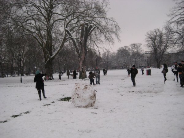 London Snow 125