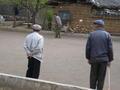 Old men playing cricket