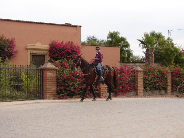 Touring Alamos on horseback