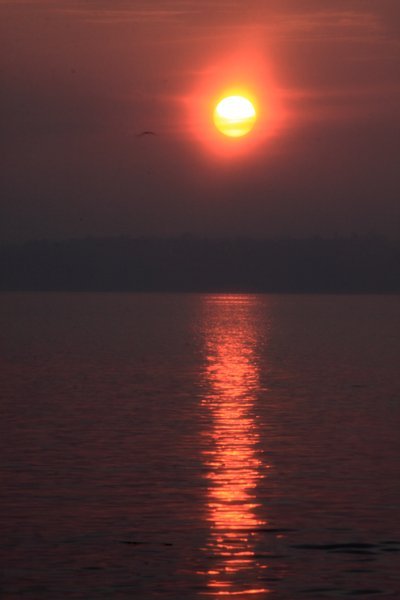 Dawn, Ashtamudi Lake, Ashtamudi, Kerala 