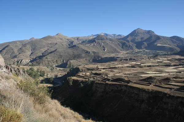 Canyon Colca