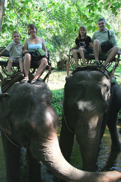 På elefantryg