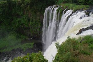 Grande cascade a Salto de Eyipantla 