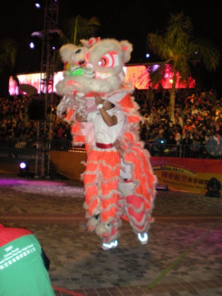 HK Chinese Martial Arts Dragon and Lion Dance (2)