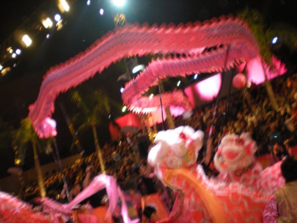 HK Chinese Martial Arts Dragon and Lion Dance (4)