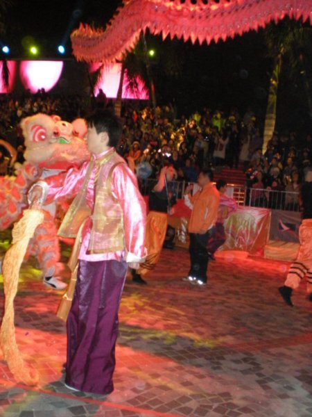 HK Chinese Martial Arts Dragon and Lion Dance (5)