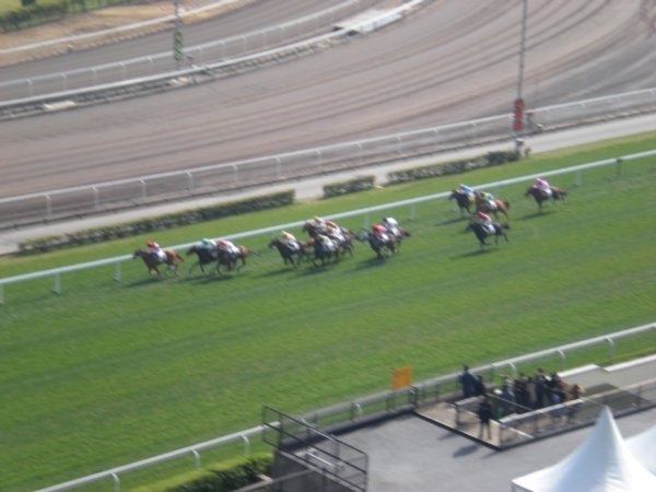 racing (7)