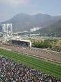 Sha Tin racecourse (8)