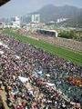 Sha Tin racecourse crowd