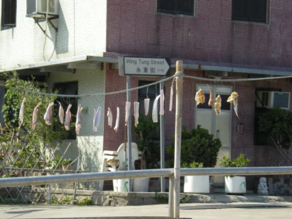 drying fish on Peng Chau waterfront