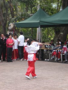Kung Fu demo (3)