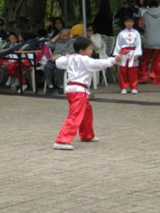 Kung Fu demo (8)