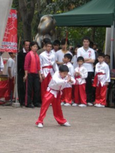 Kung Fu demo (7)