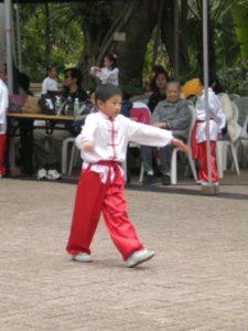 Kung Fu demo