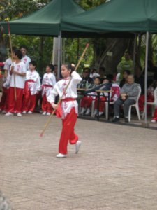 Kung Fu demo (5)