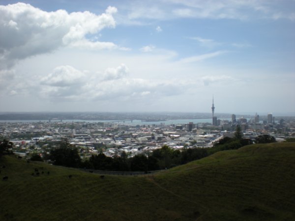 views over Auckland from Mt Eden (2)