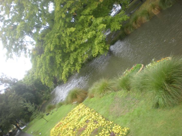 River Avon, Christchurch (3)