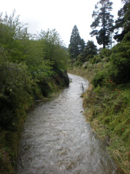 The Water of Leith, Dunedin (4)