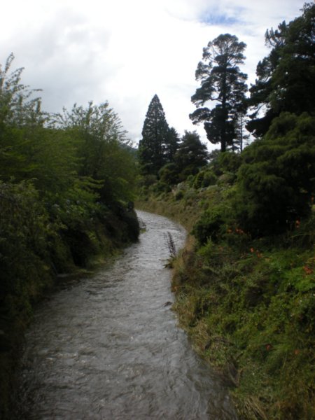 The Water of Leith, Dunedin (5)