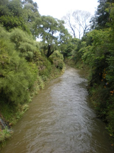 The Water of Leith, Dunedin
