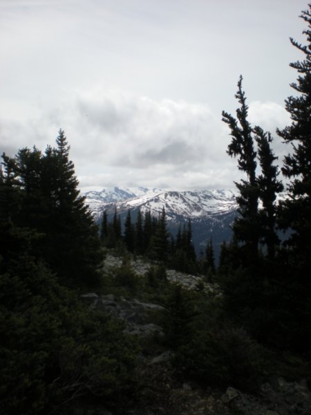 Alpine Trail on Blackcomb Peak (11)